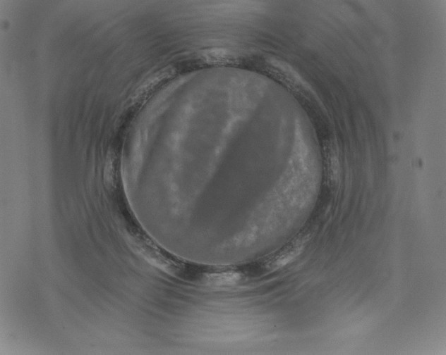 X0000074000266200609111606