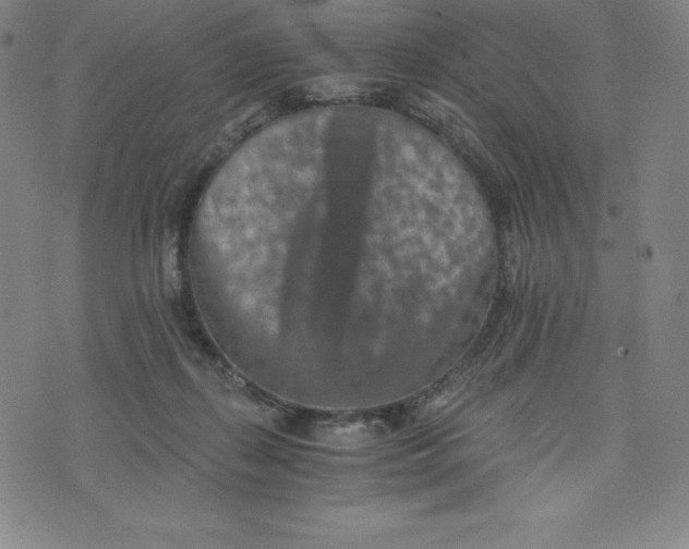 X0000074000267200609111606