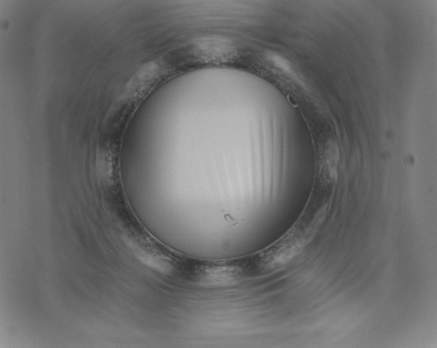 X0000074000268200609111606