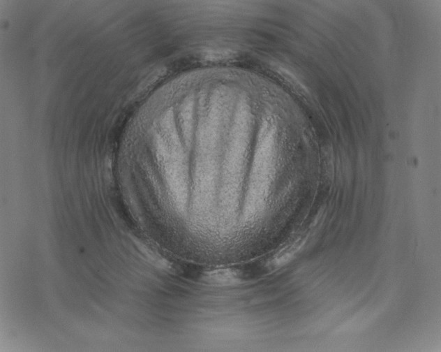 X0000074000269200609111606