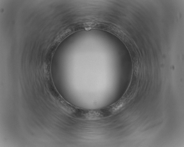 X0000074000270200609111606