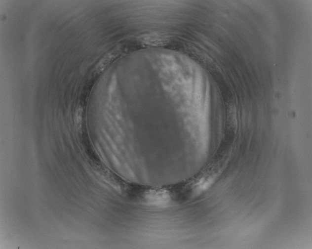 X0000074000271200609111606