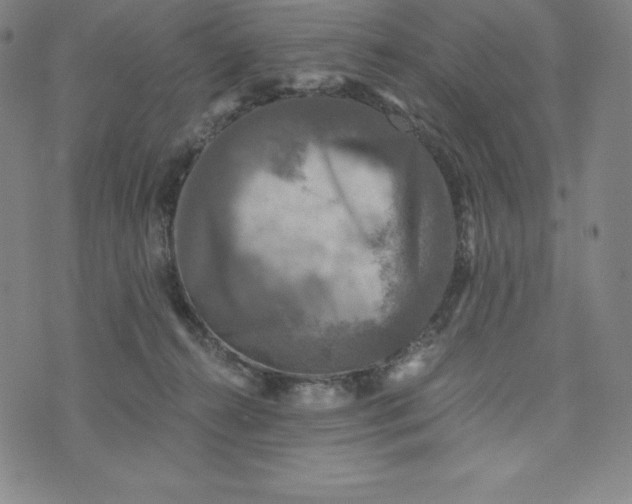 X0000074000272200609111606