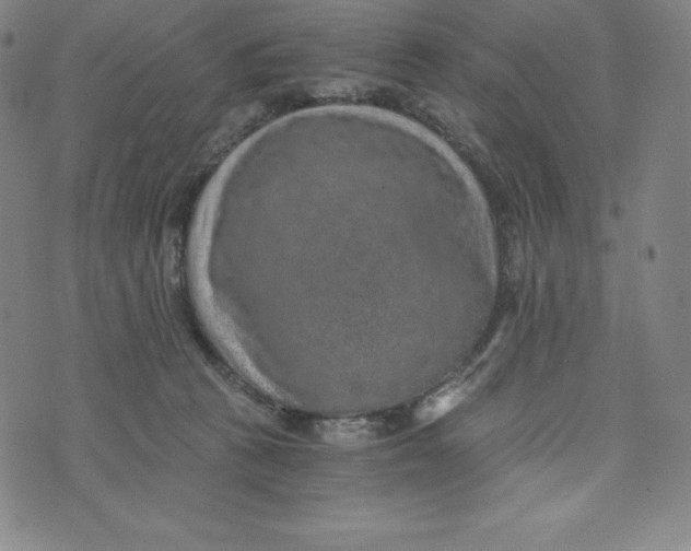 X0000074000273200609111606