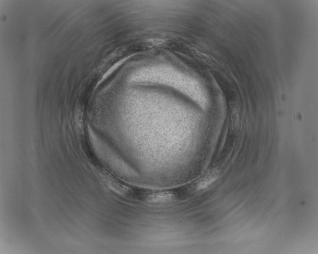 X0000074000274200609111606