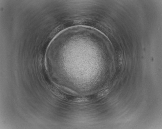 X0000074000275200609111606