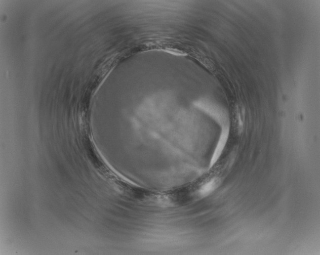 X0000074000276200609111606