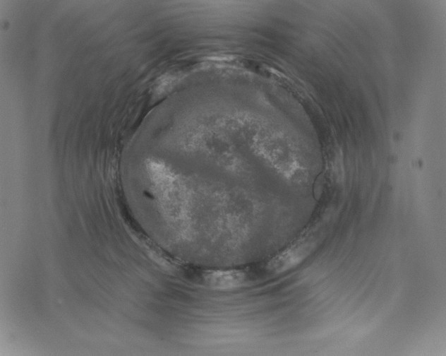 X0000074000277200609111606