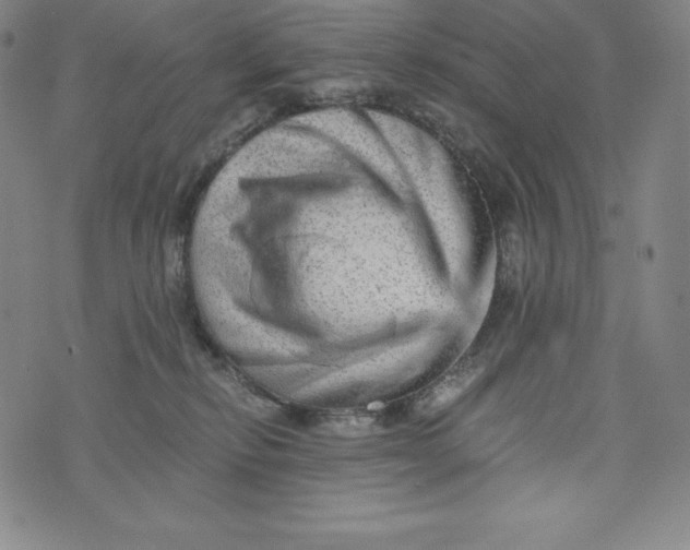 X0000074000278200609111606