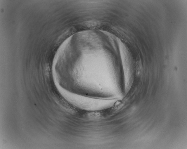 X0000074000279200609111606