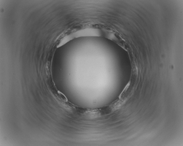 X0000074000280200609111606