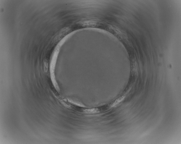 X0000074000281200609111606