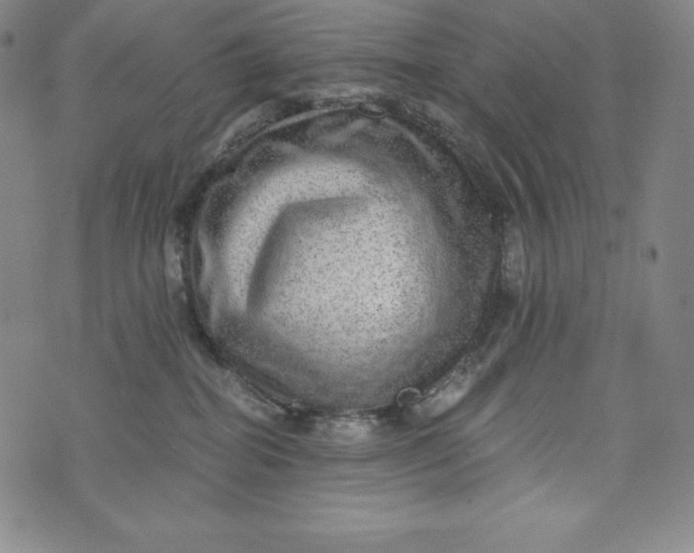 X0000074000282200609111606