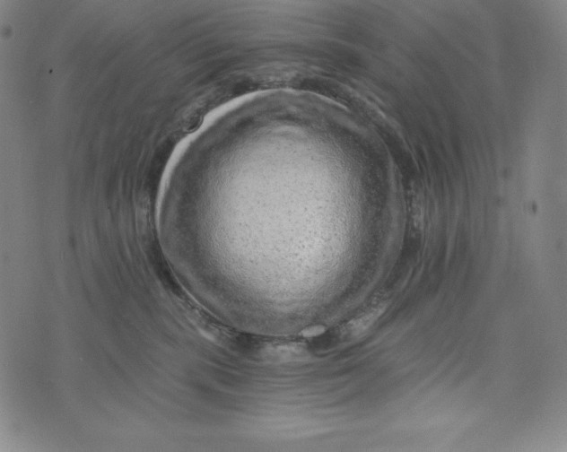 X0000074000283200609111606