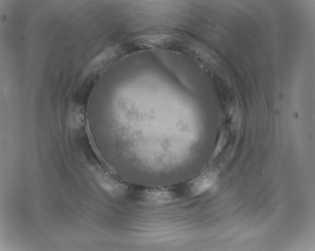 X0000074000284200609111606