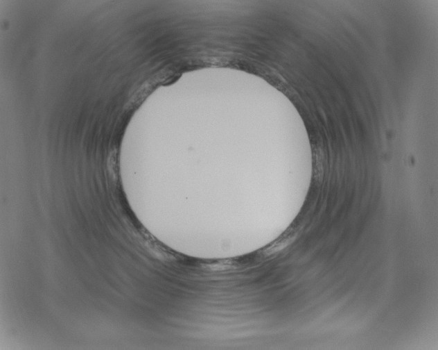 X0000074000286200609111606