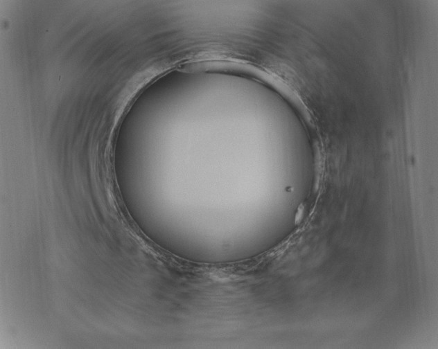 X0000074000289200609111605