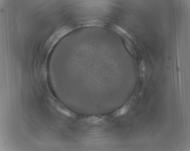 X0000074000290200609111605