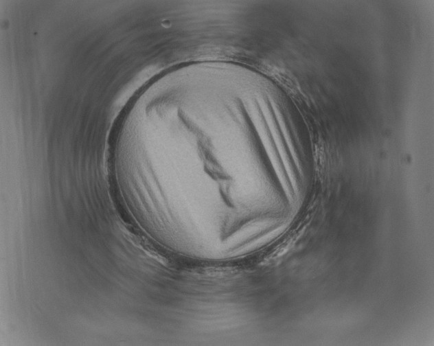 X0000074000292200609111605