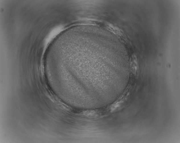 X0000074000294200609111605