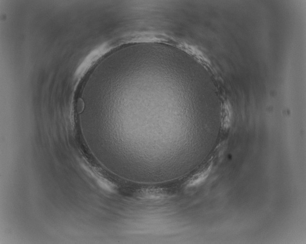 X0000074000296200609111605