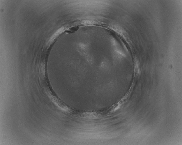 X0000074000297200609111605