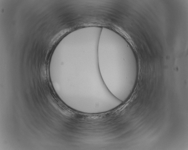 X0000074000298200609111605