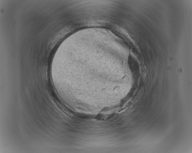 X0000074000299200609111605