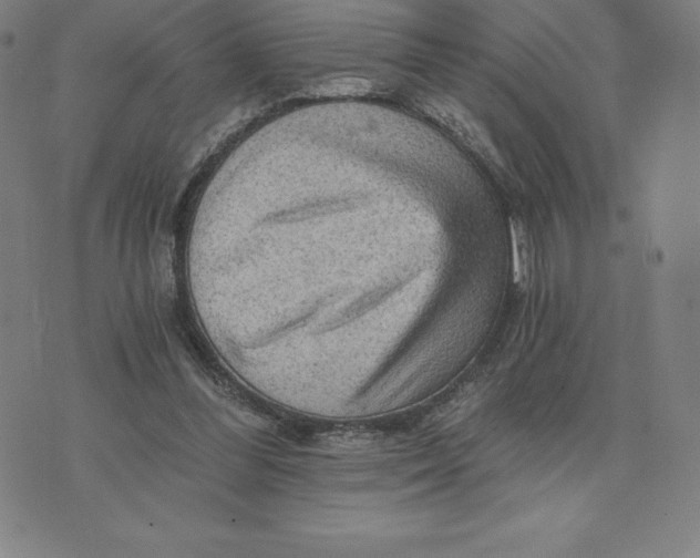 X0000074000300200609111605