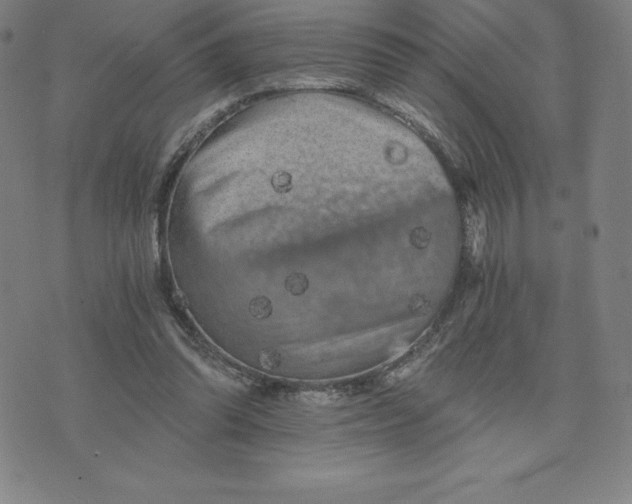 X0000074000302200609111605