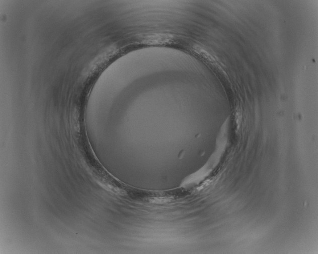 X0000074000303200609111605