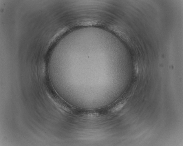 X0000074000304200609111605