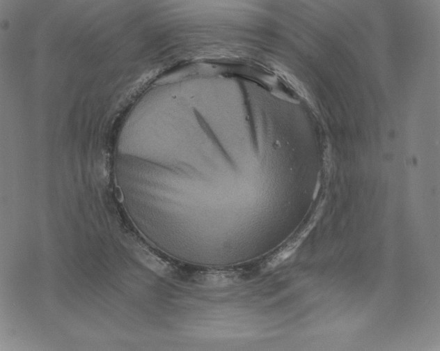 X0000074000305200609111605