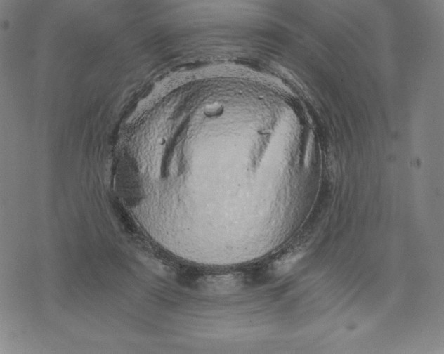 X0000074000307200609111605