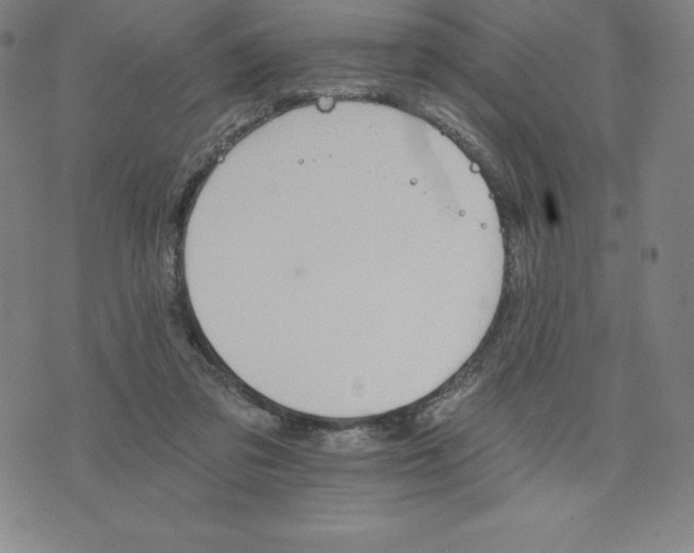 X0000074000309200609111605