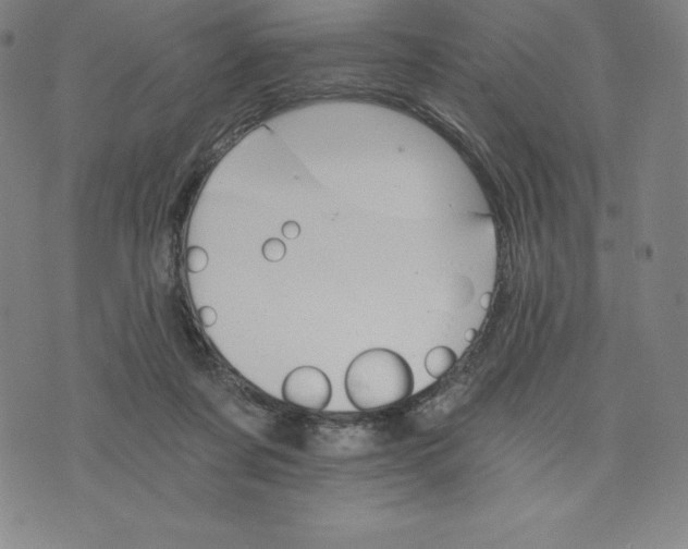 X0000074000311200609111605