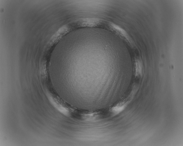 X0000074000312200609111605