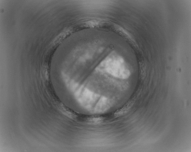 X0000074000313200609111605