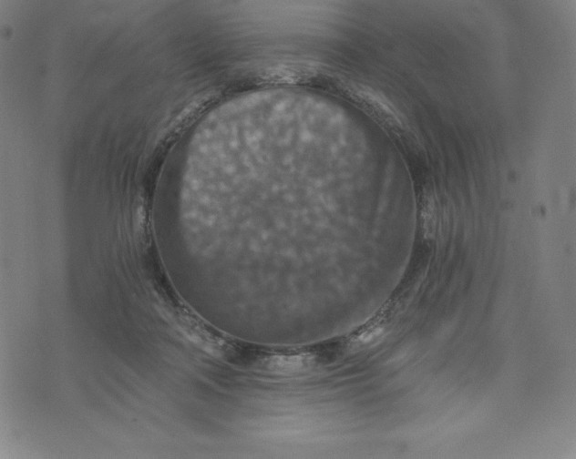 X0000074000314200609111605