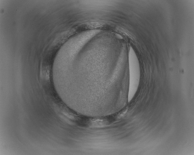 X0000074000315200609111605