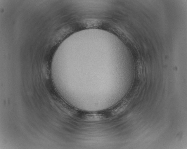 X0000074000316200609111605