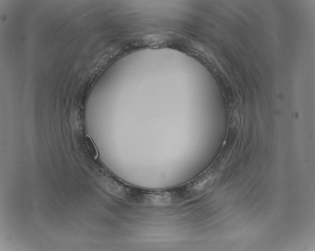 X0000074000317200609111605