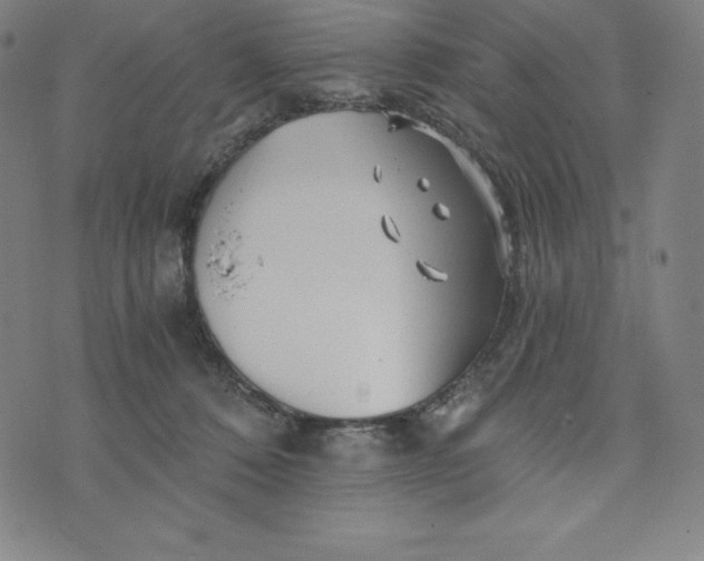 X0000074000320200609111605