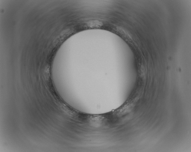 X0000074000321200609111605