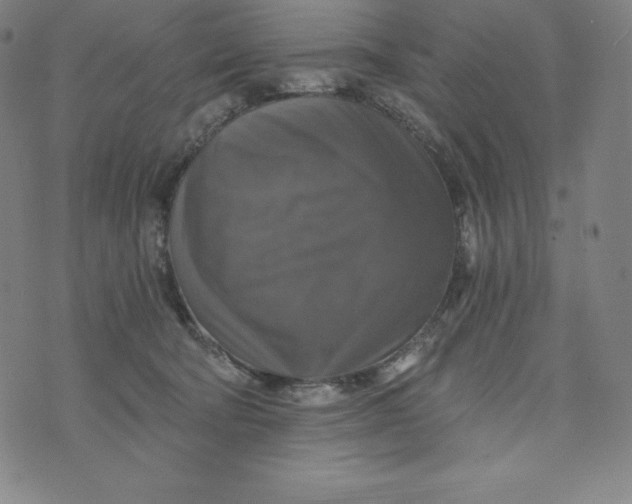 X0000074000322200609111605