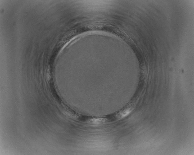 X0000074000323200609111605