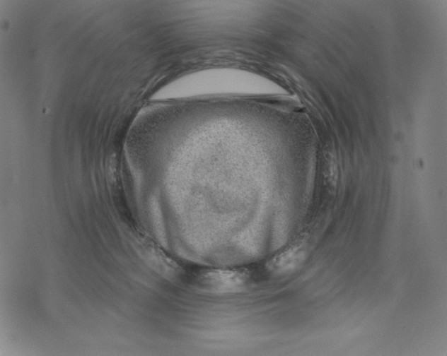 X0000074000326200609111605