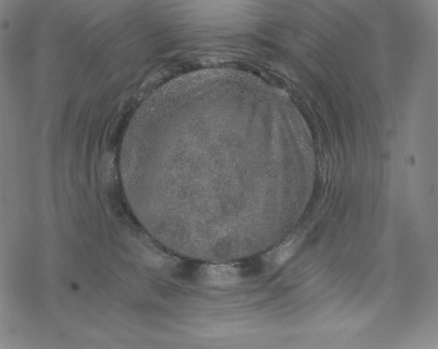 X0000074000327200609111605