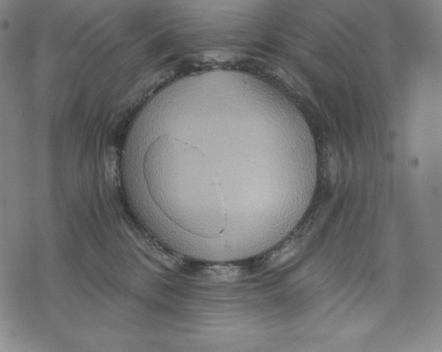 X0000074000328200609111605