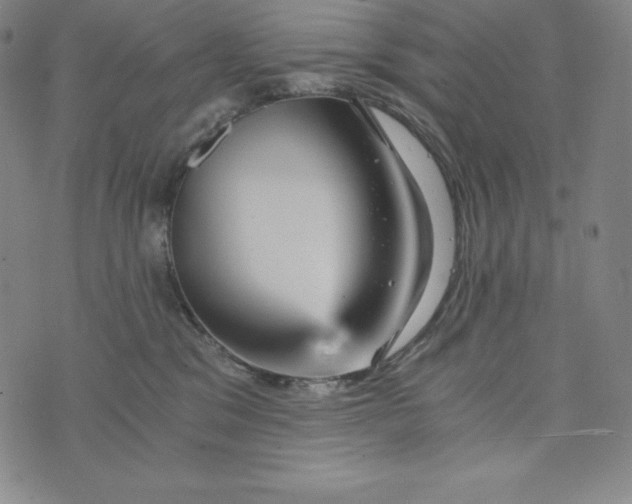 X0000074000329200609111605